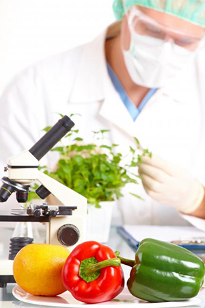 nutrition research and food science journal