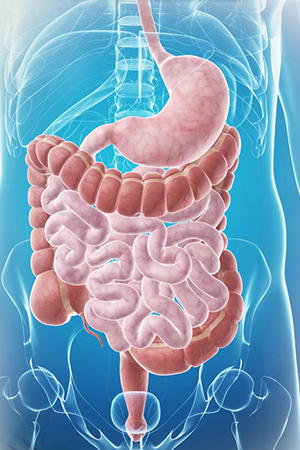 Gastroenterology, Hepatology & Digestive Disorders