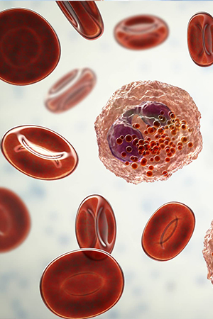Insights in Blood Disorders