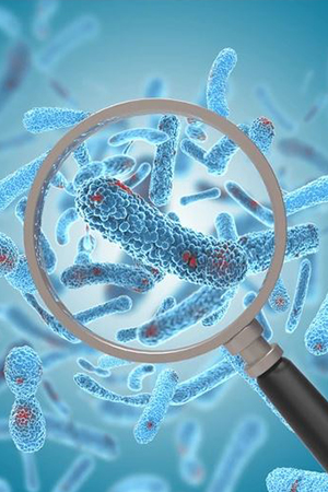 Journal of Clinical and Experimental Epidemiology Research