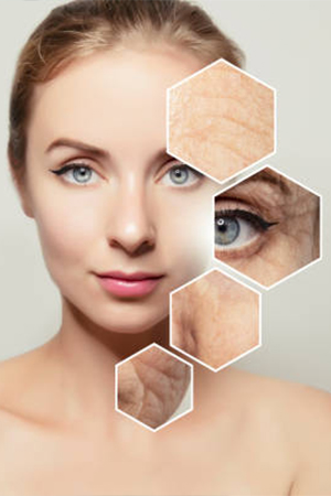 Dermatology Research