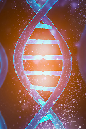 International Journal of Translational Science & Research