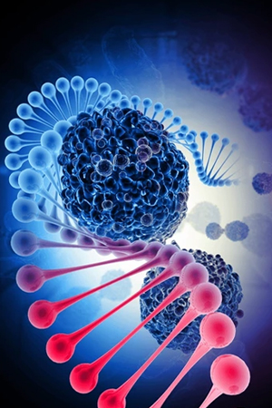 International Journal of Tumor Research